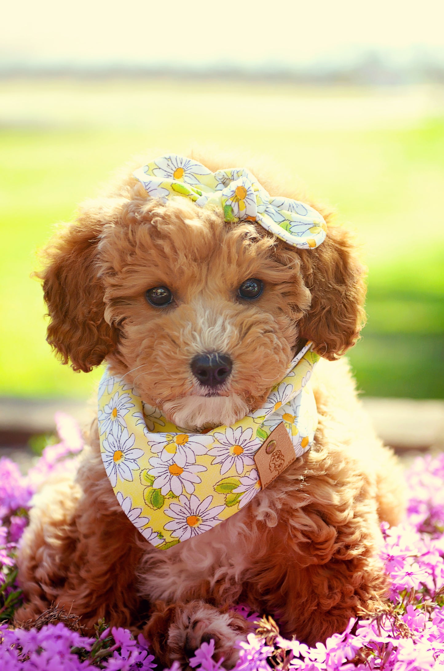 Yellow Daisy Dog Bandana