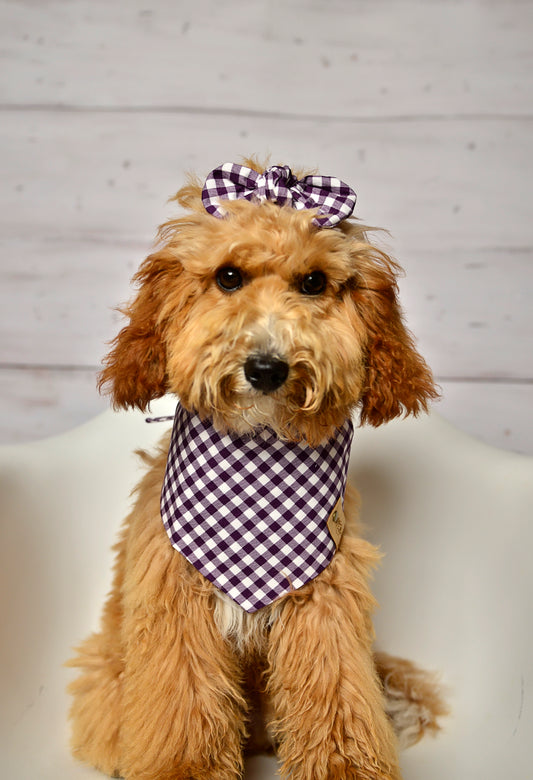 Raisin Gingham Check Dog Bandana