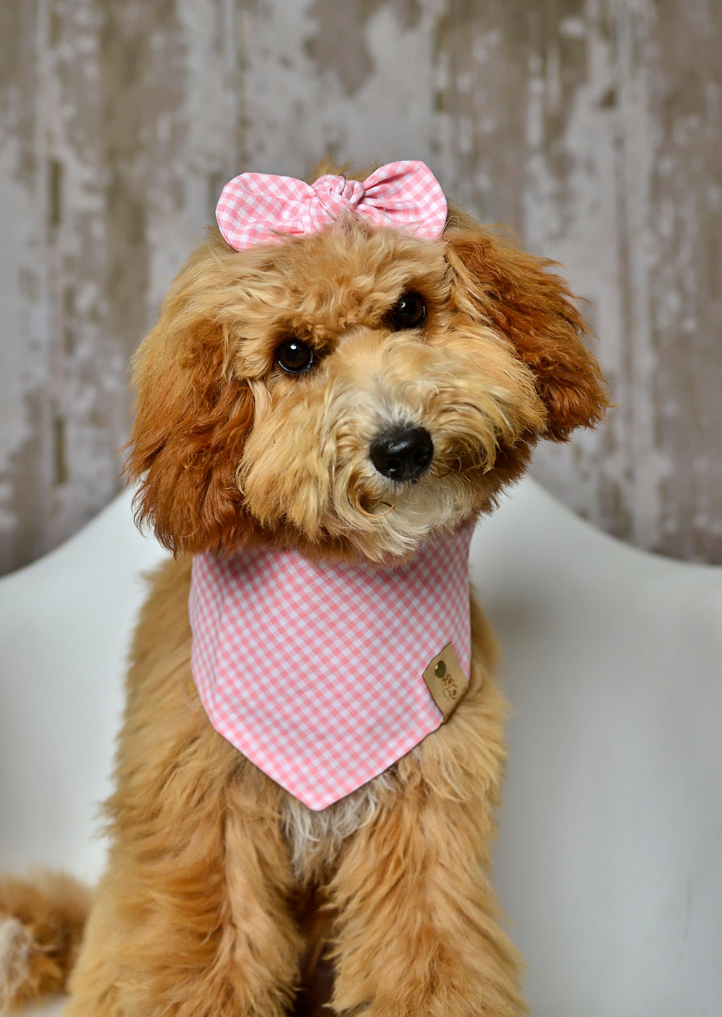 Blush Gingham Dog Bandana