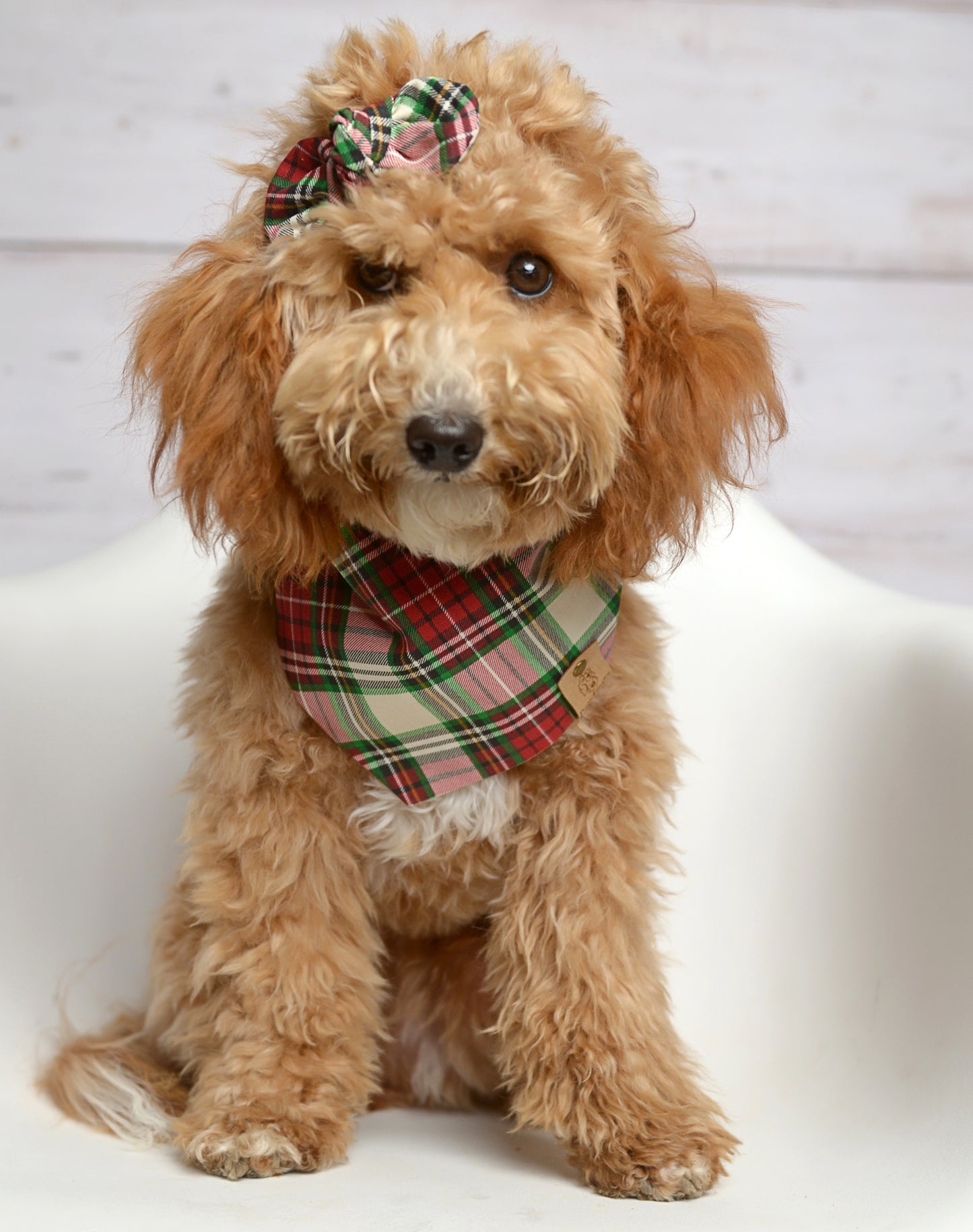 Red Lodge Plaid Dog Bandana