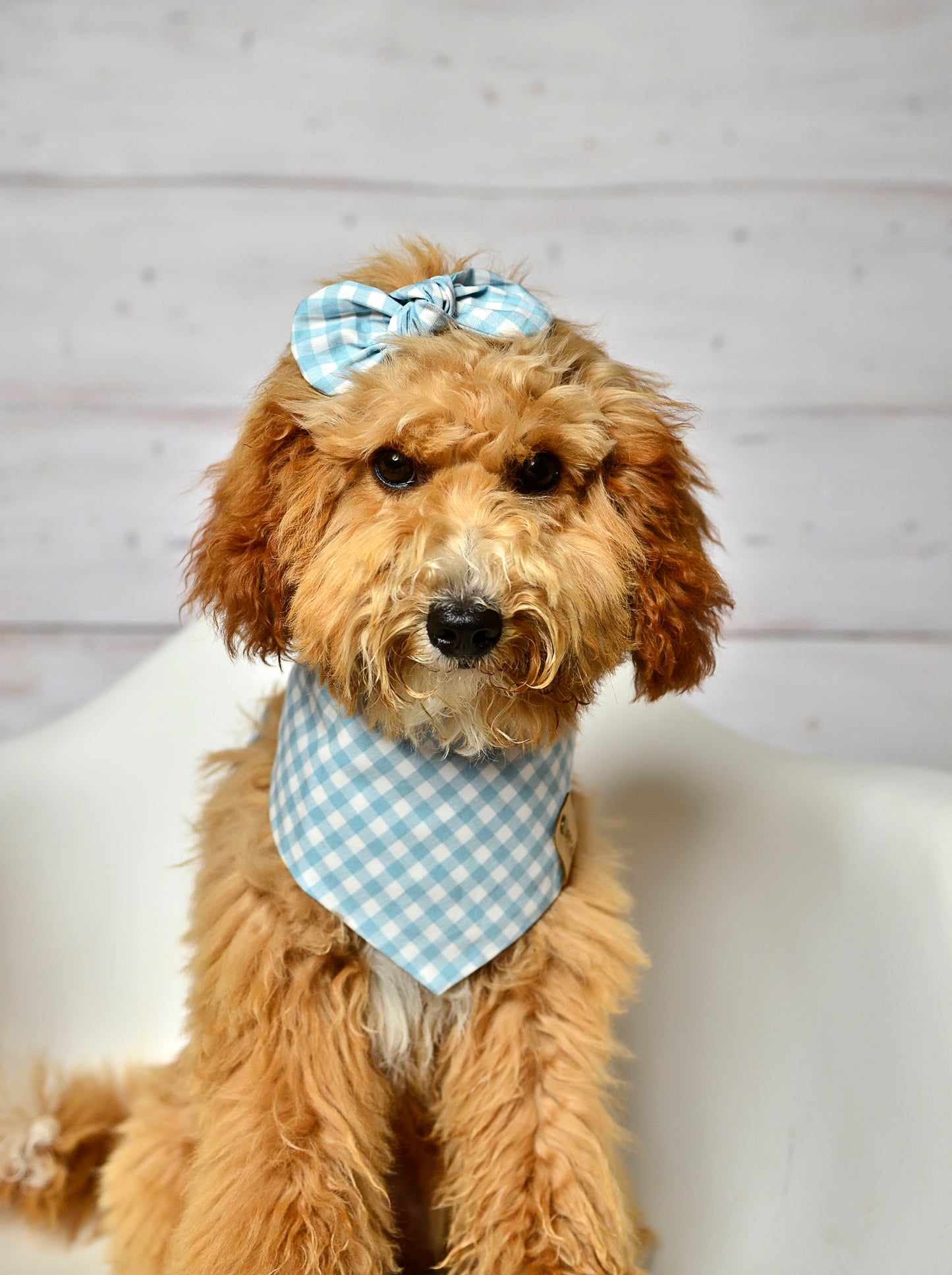 Blue Gingham Check Dog Bandana