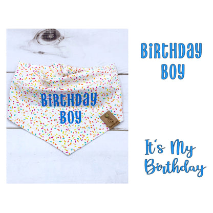 Birthday Dog Bandana - Boy