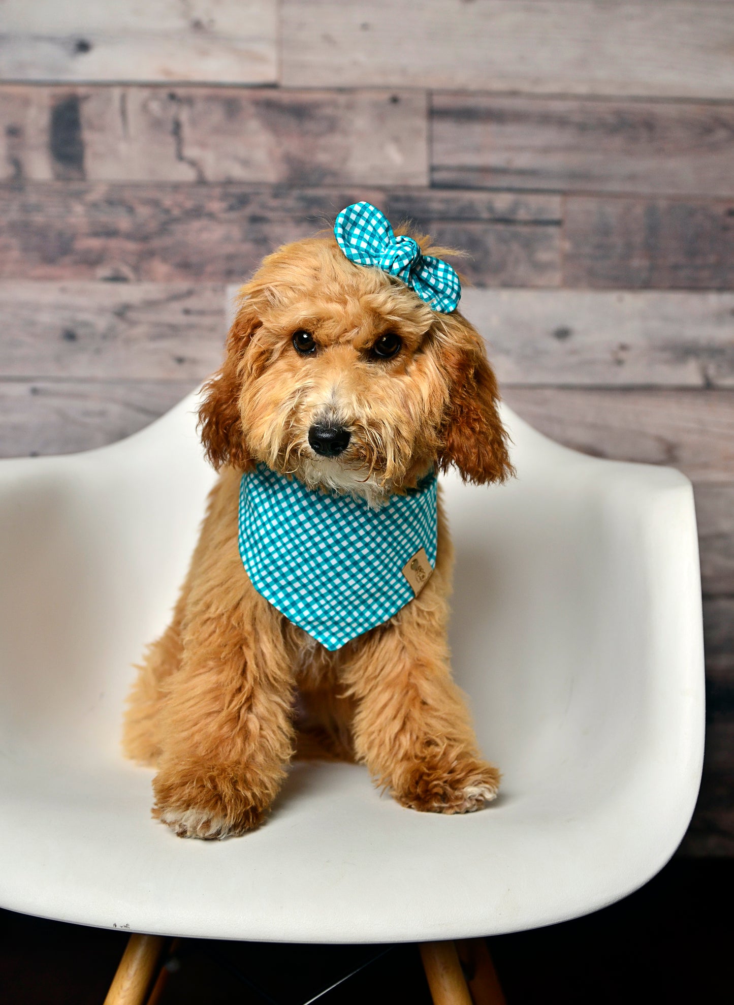 Teal Gingham Dog Bandana