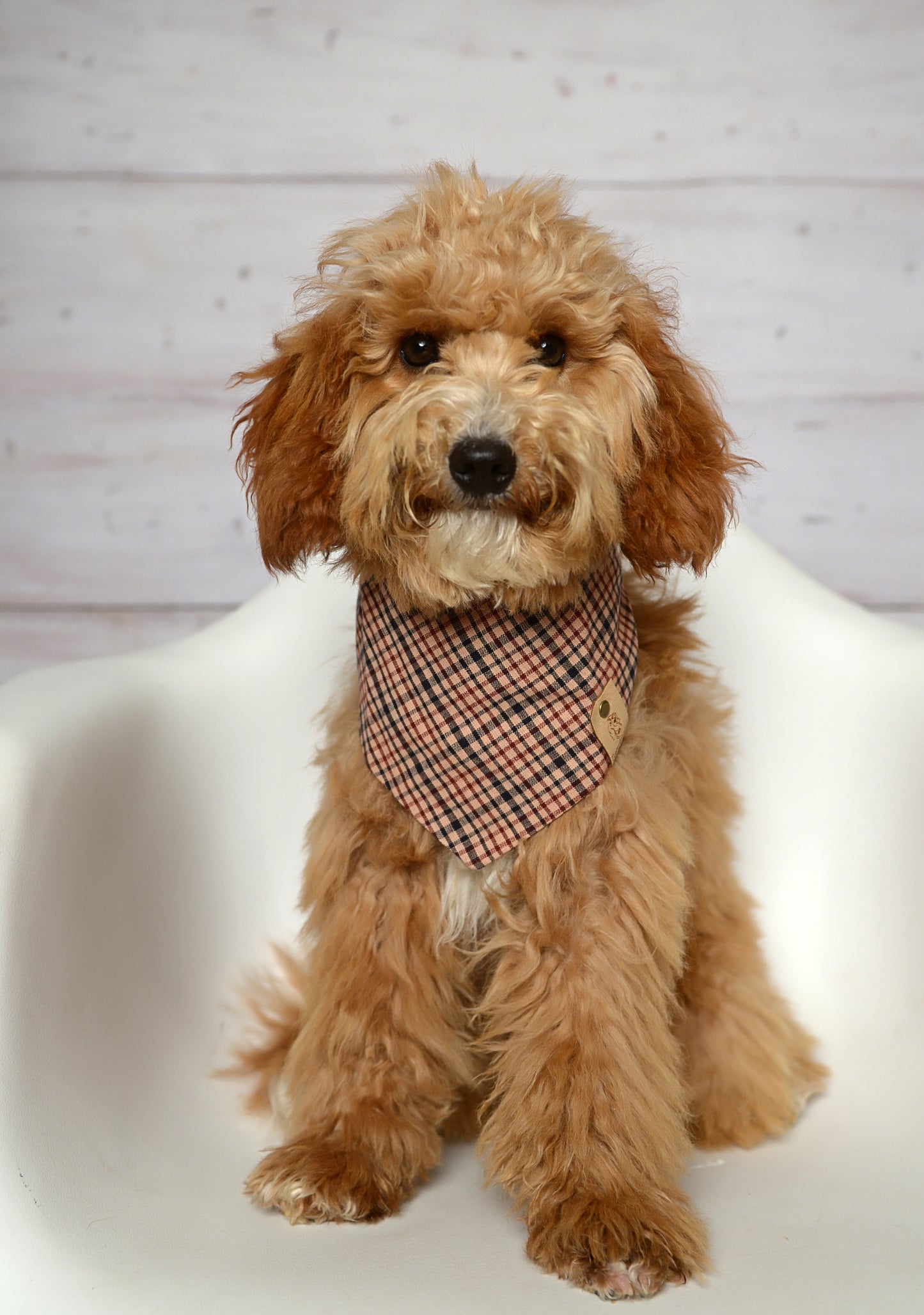 Raisin Plaid Bandana