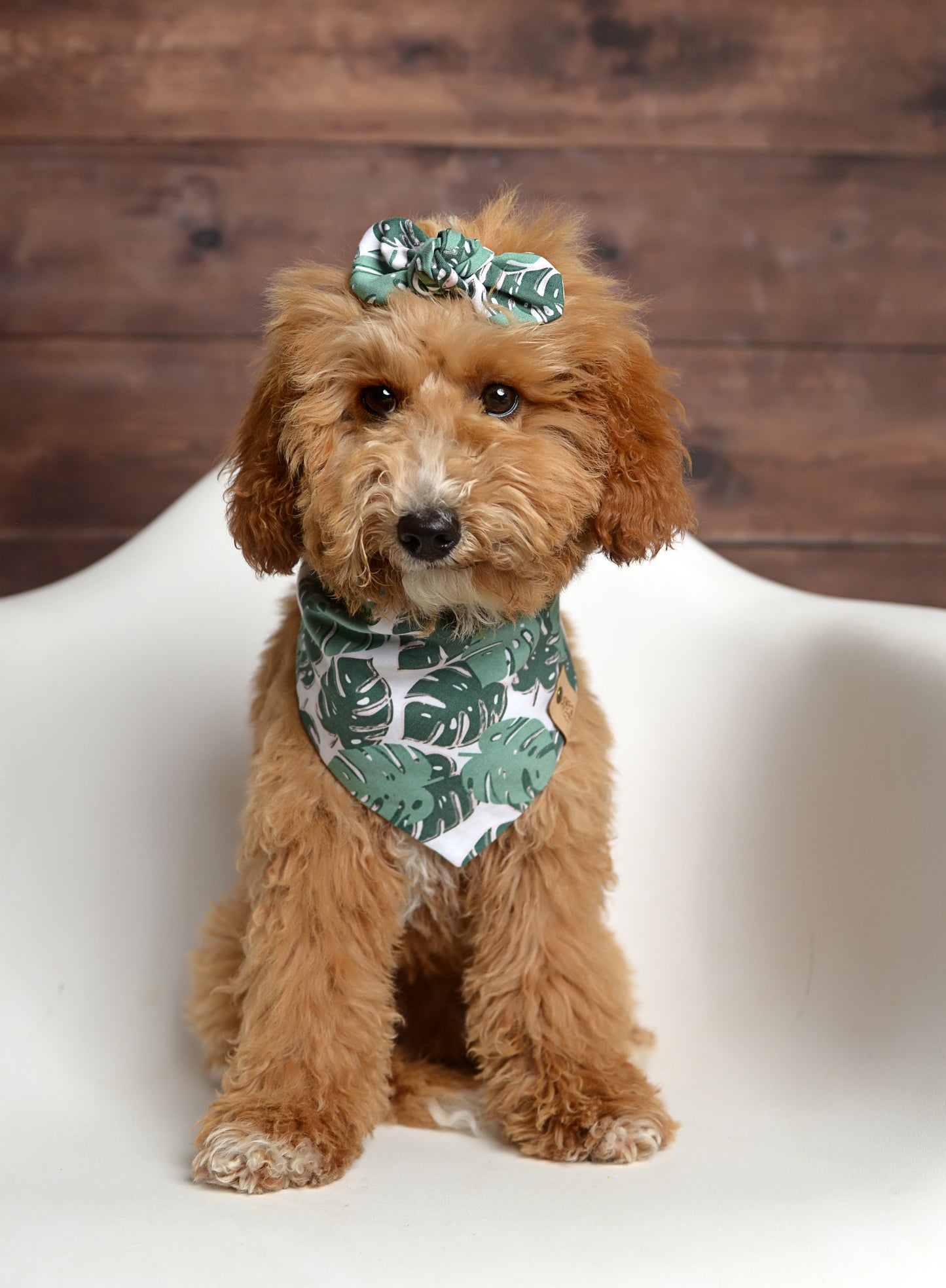 Monstera Leaves Dog Bandana