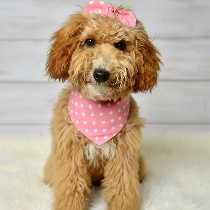 Rose Dot Dog Bandana