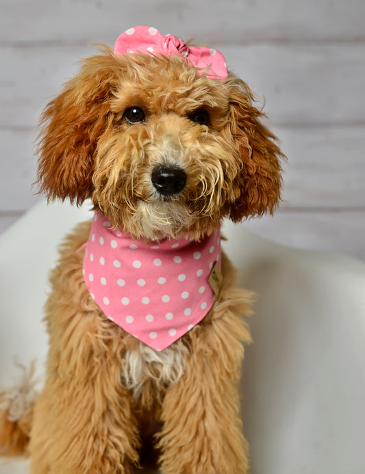 Rose Dot Dog Bandana