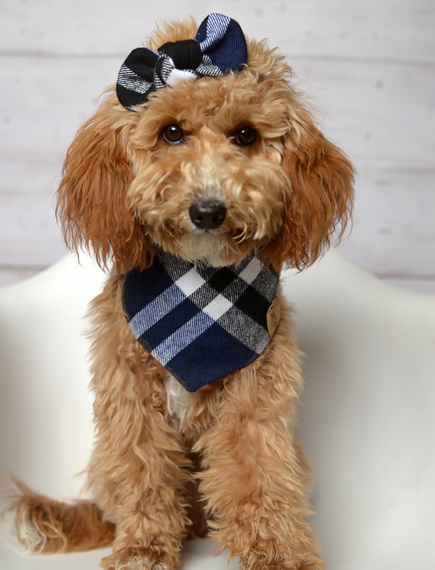 Navy Blue Plaid Dog Bandana - Flannel