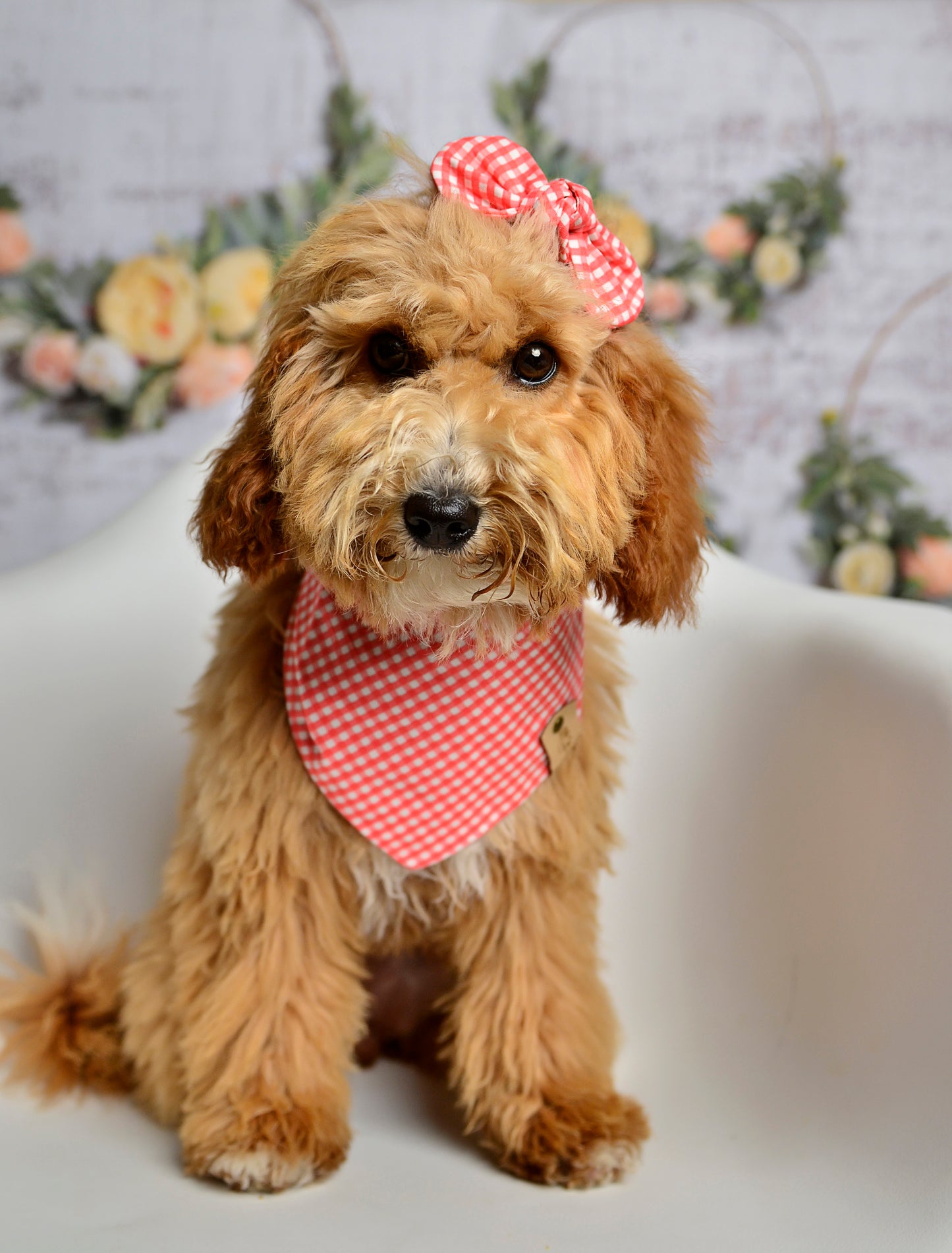 Salmon Gingham Dog Bandana