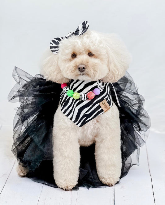 Zebra Dog Bandana