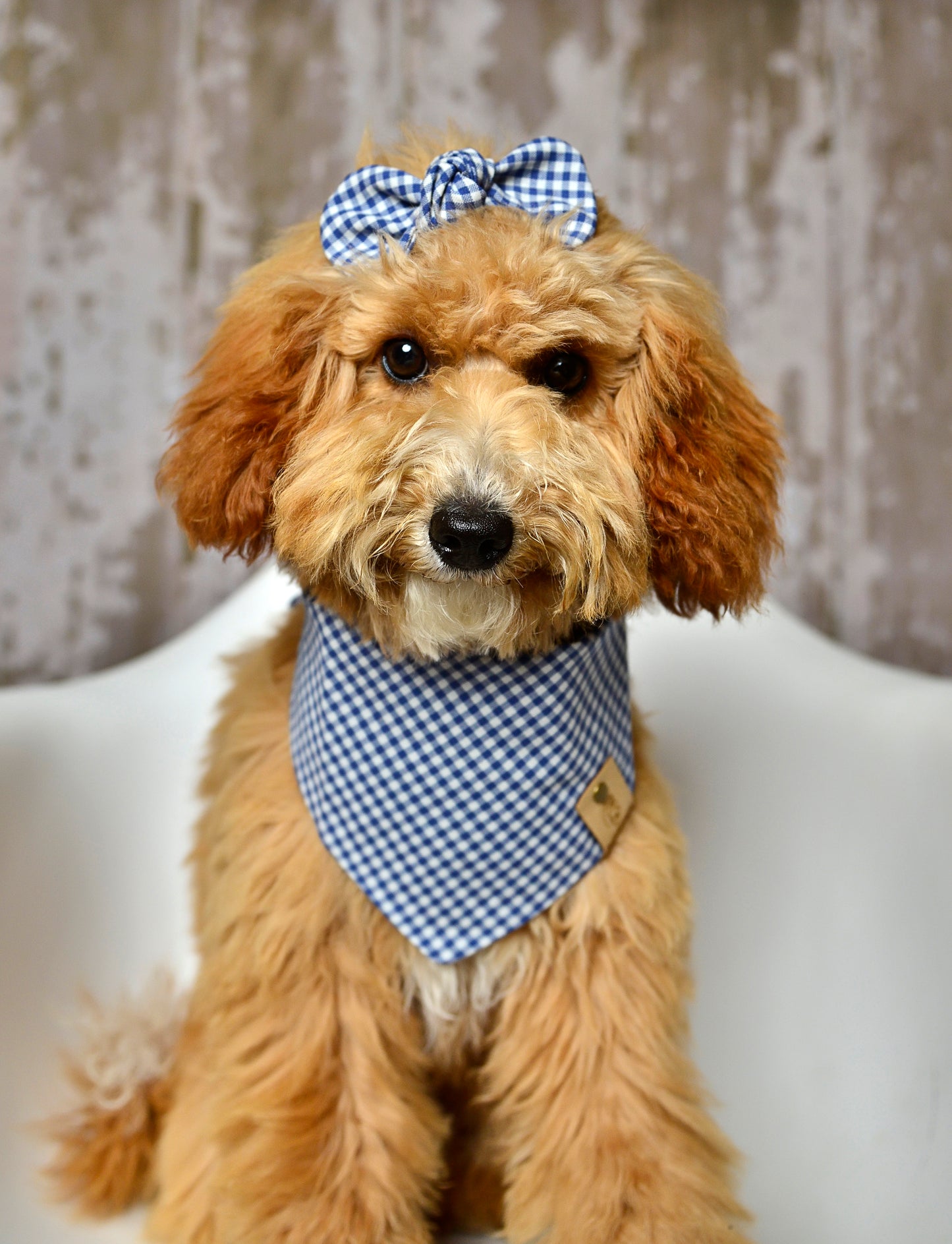 Denim Gingham Dog Bandana