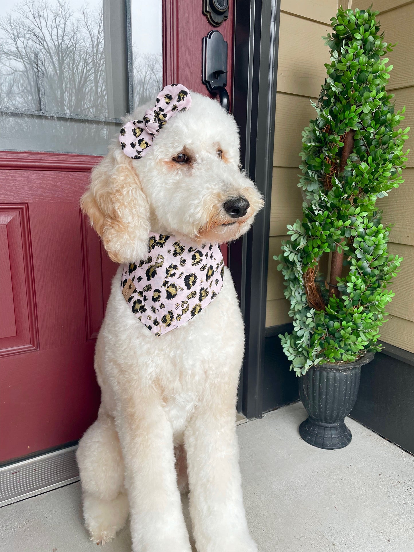 Pink Gold Leopard Dog Bandana