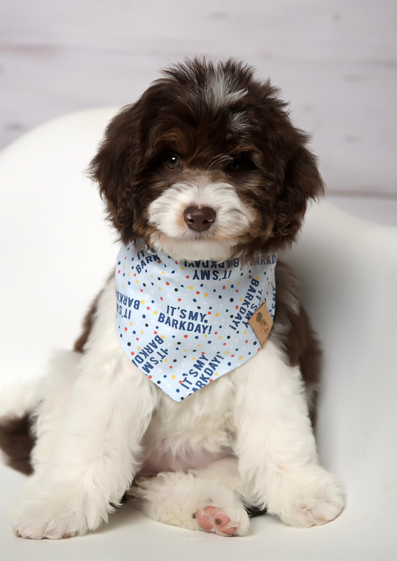 It's My Bark Day Blue Dog Bandana