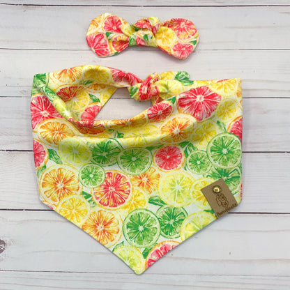 Citrus Dog Bandana