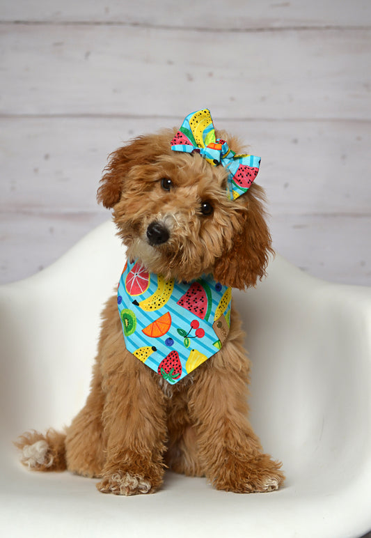 Fruit Punch Dog Bandana