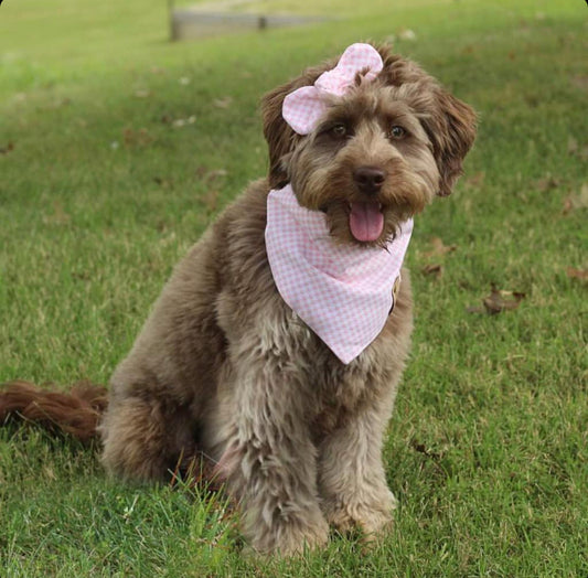 Pink Houndstooth Dog Bandana