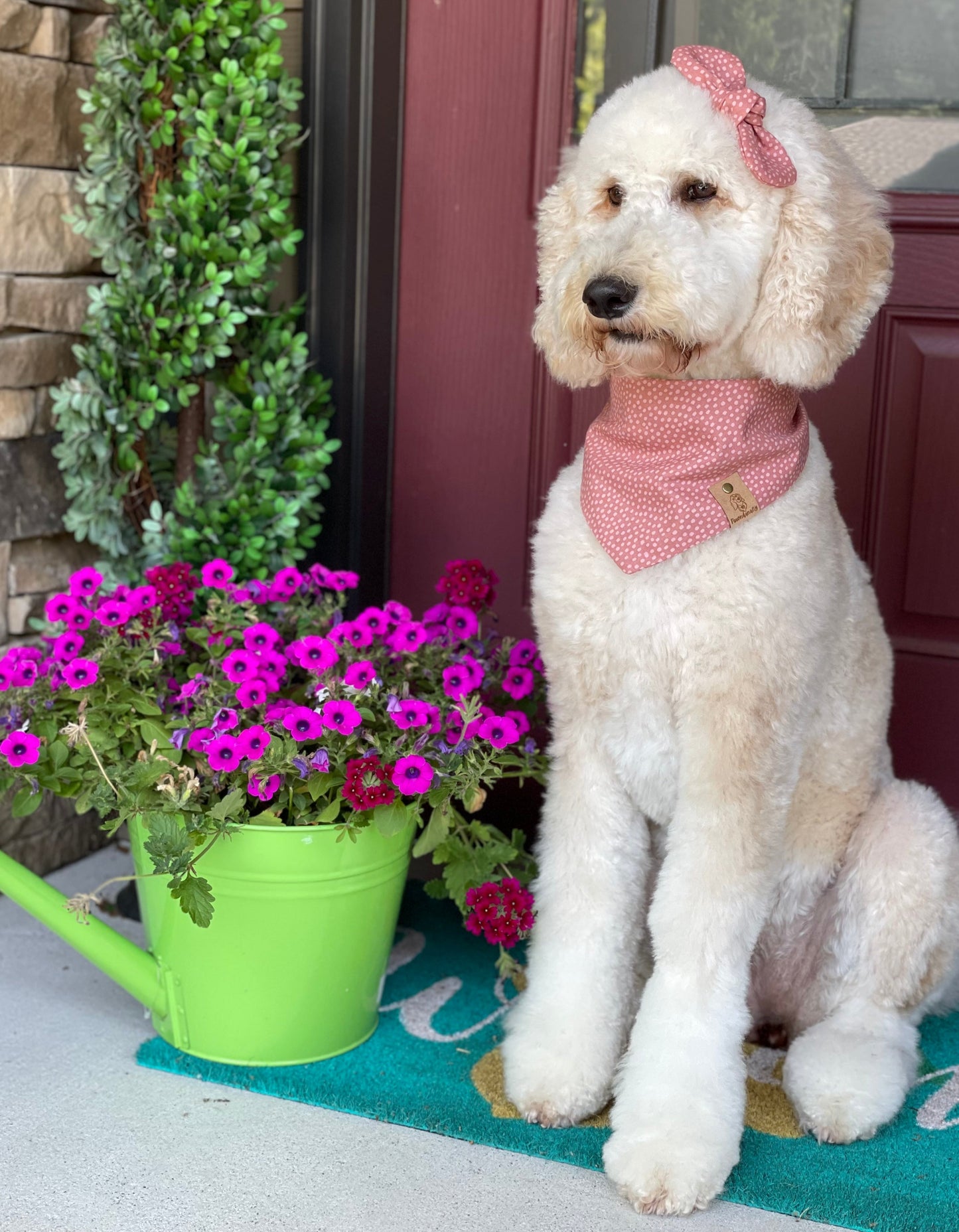 Mauve Dot Dog Bandana