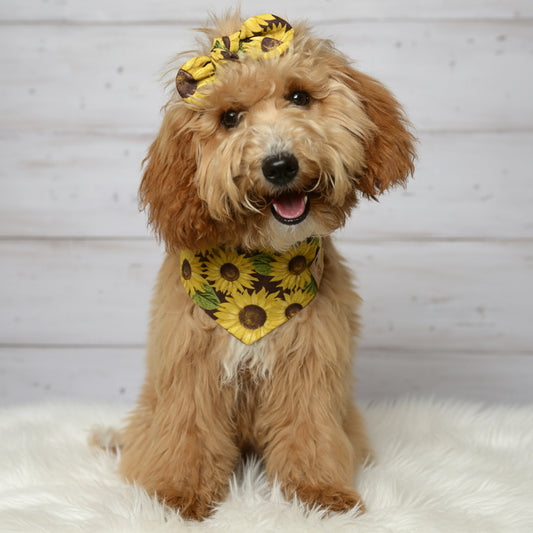 Sunflower Field Dog Bandana