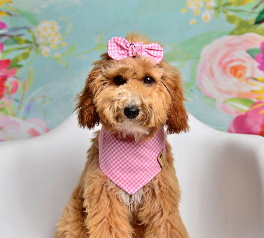 Pink Gingham Dog Bandana