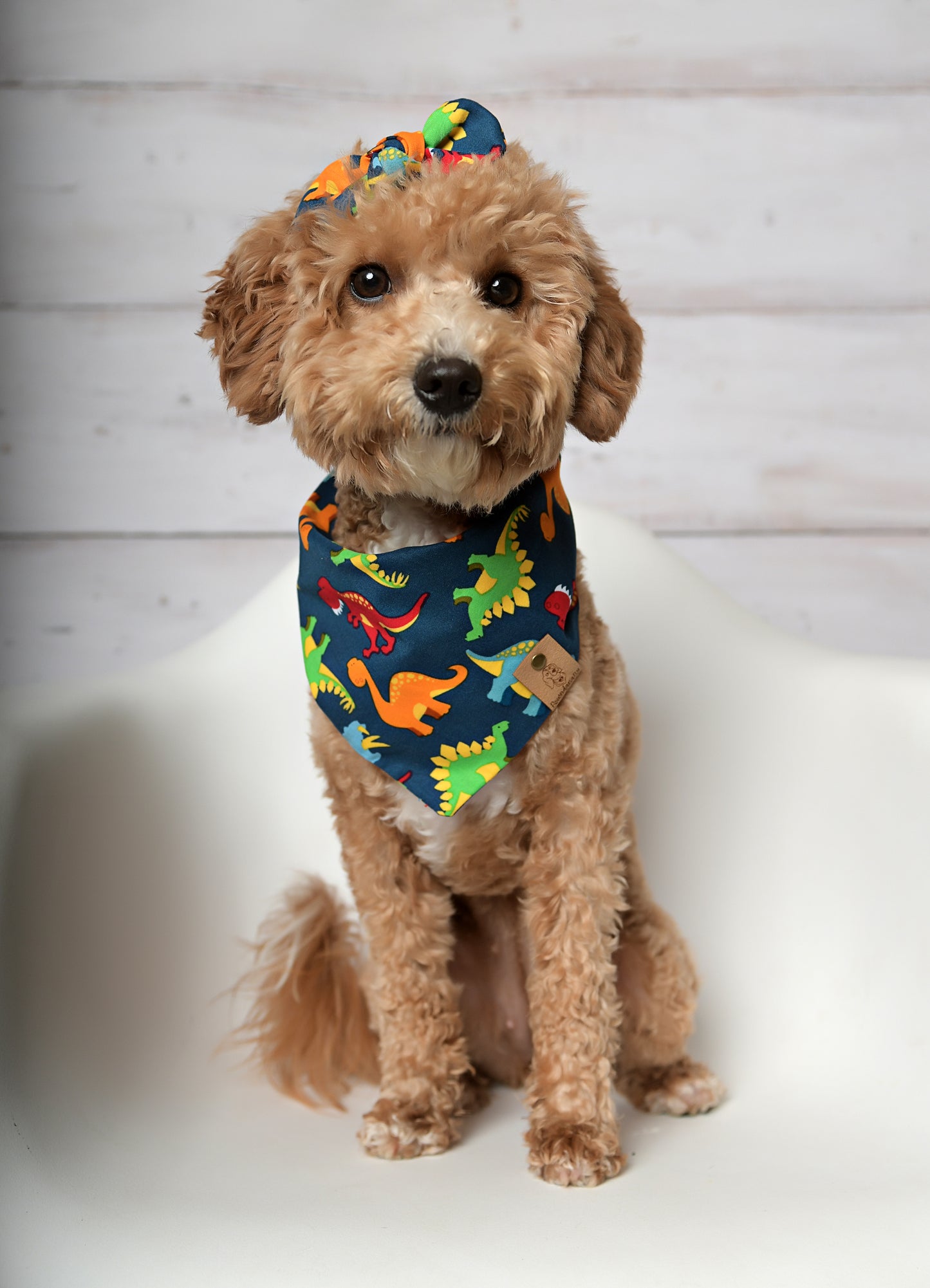 Dinosaur Dog Bandana