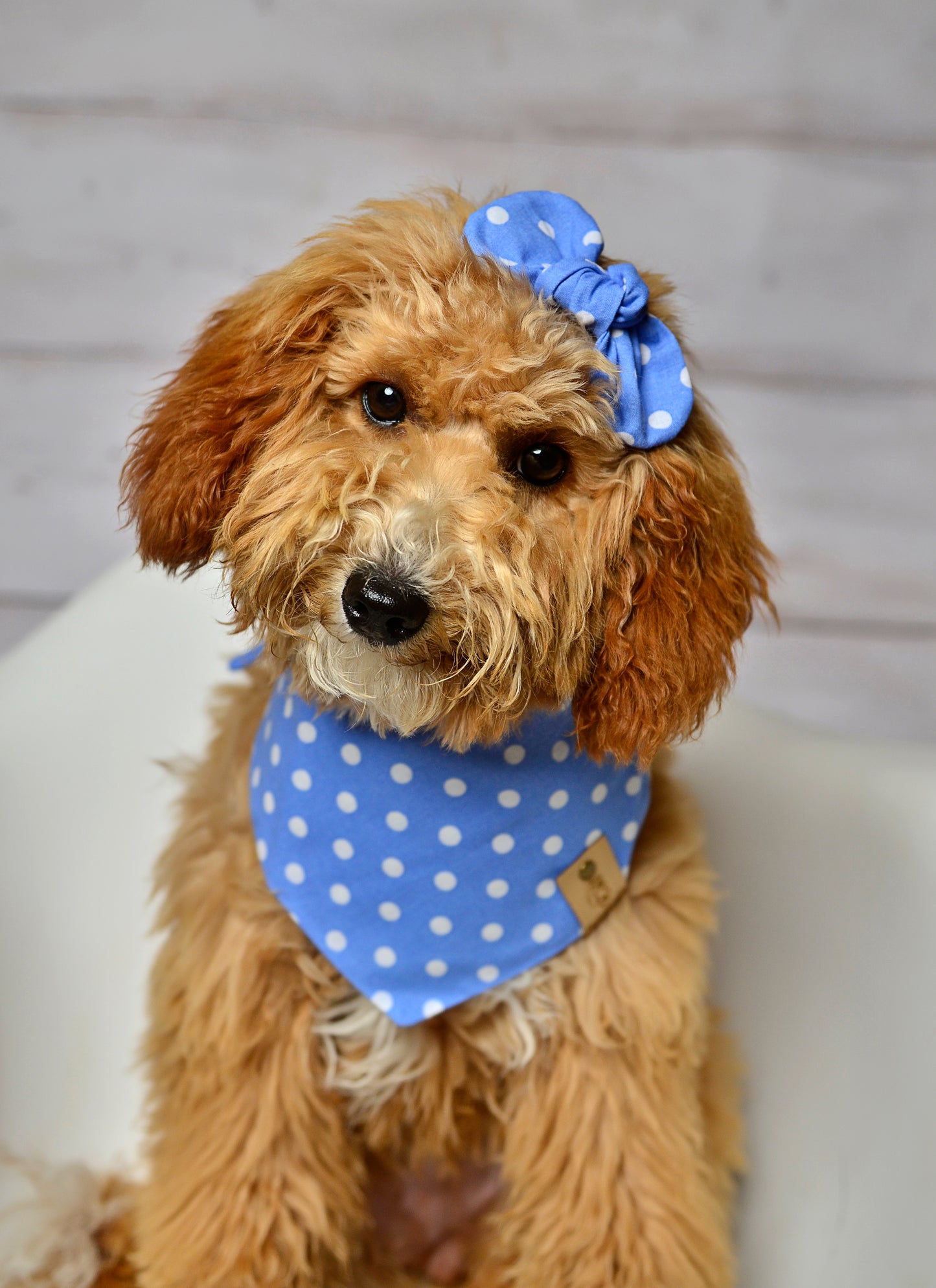 Blue Dot Dog Bandana