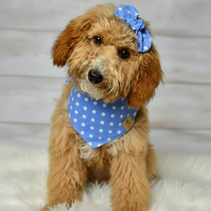 Blue Dot Dog Bandana
