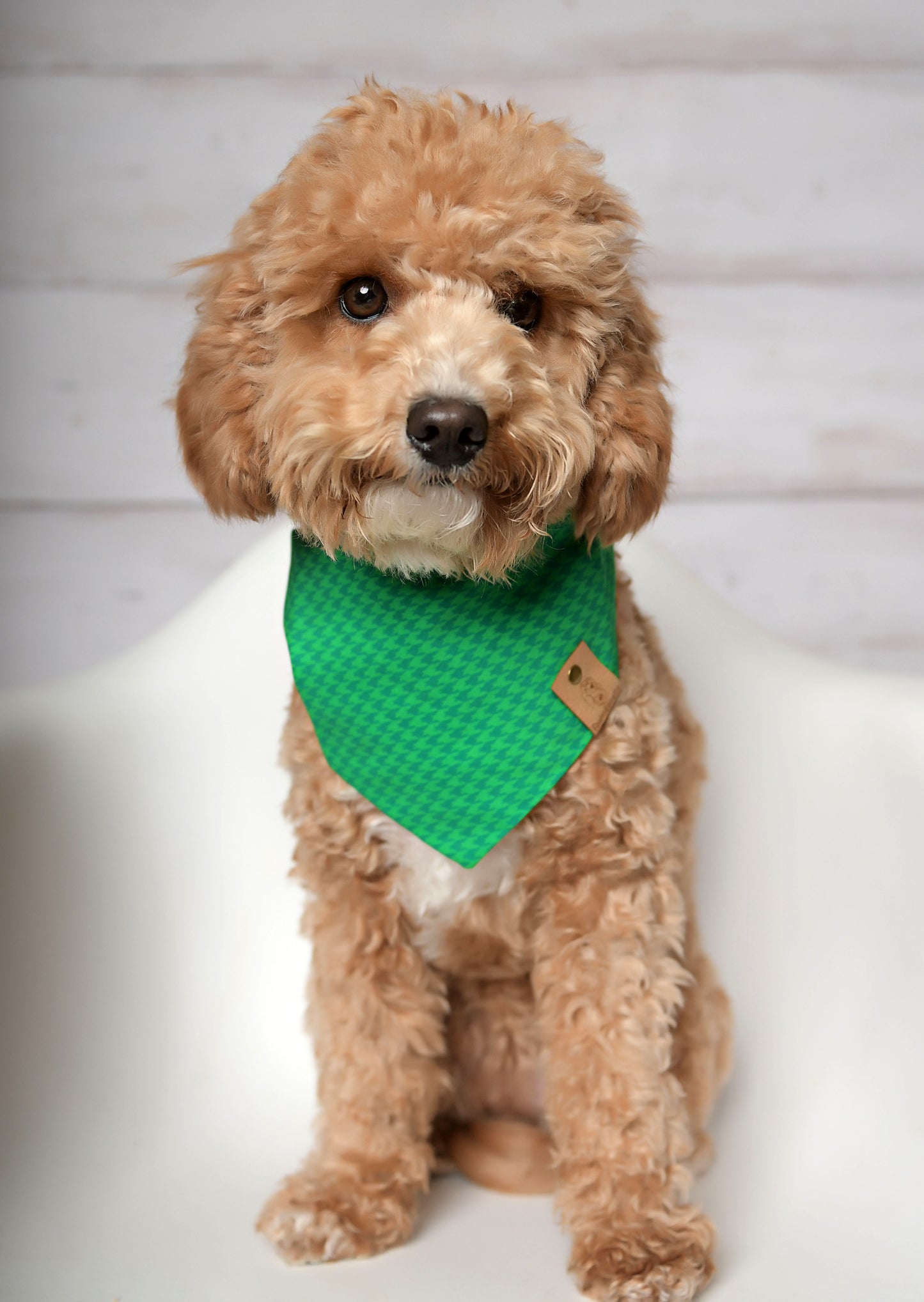 Green Houndstooth Dog Bandana