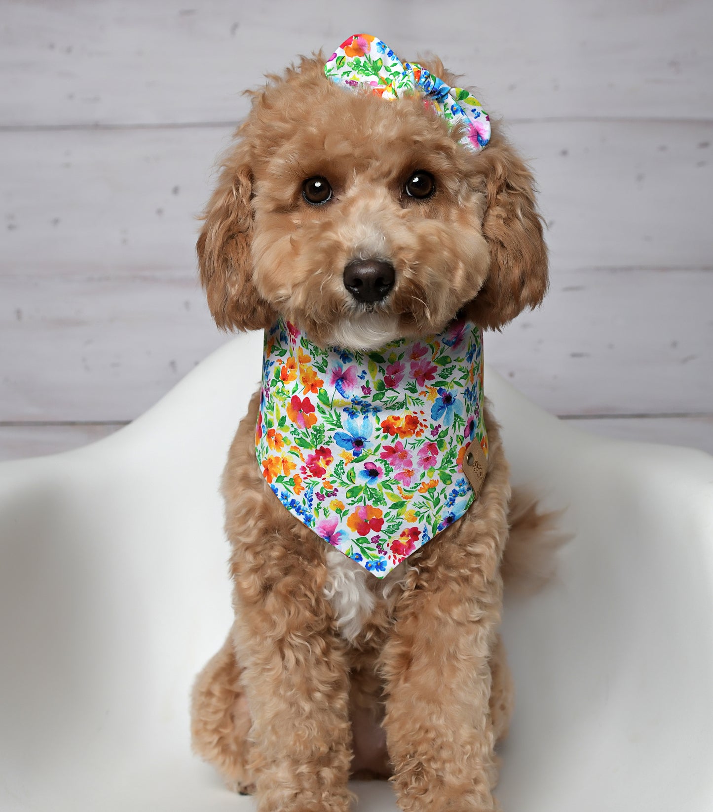 Floral Dog Bandana