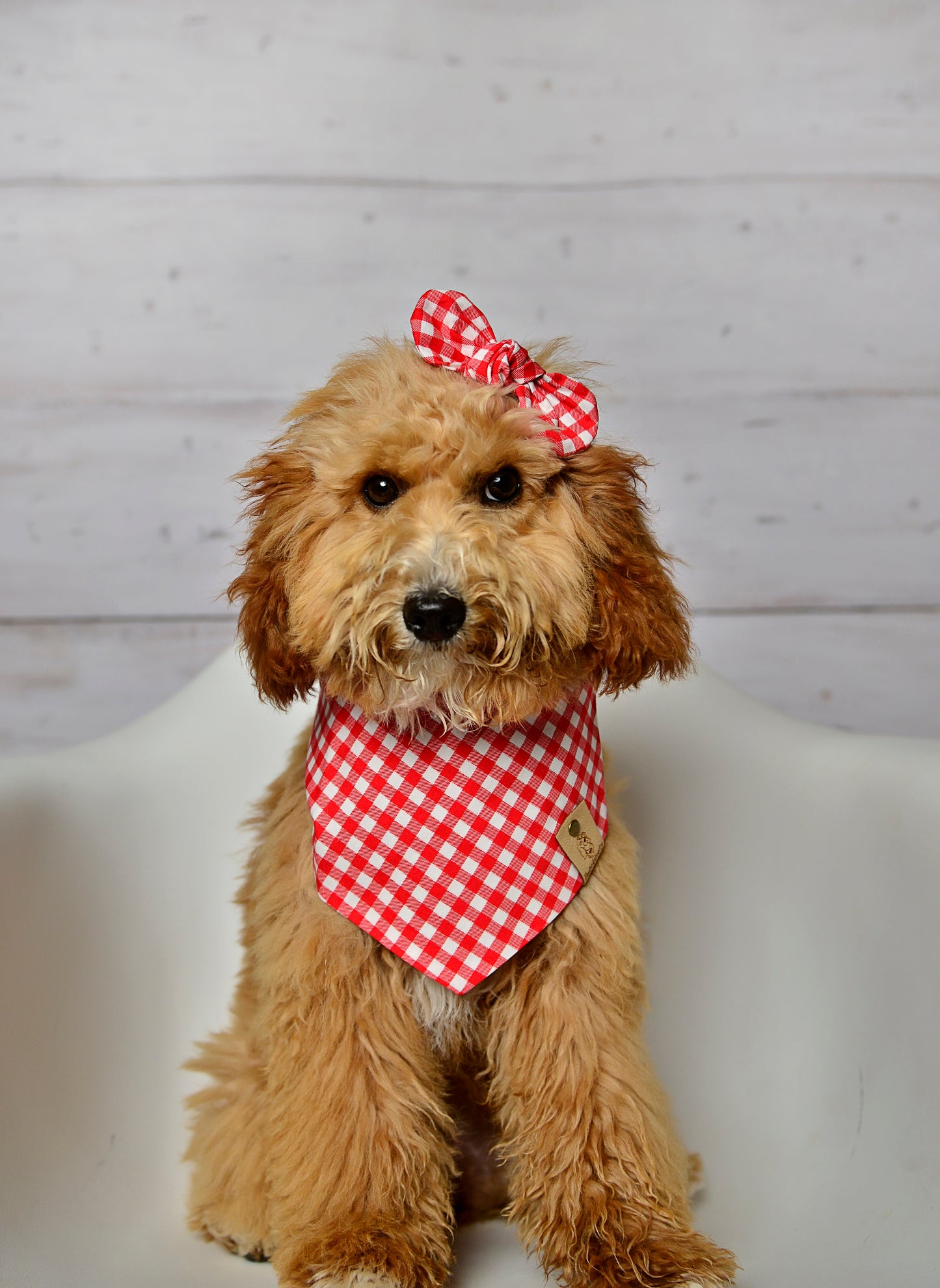 Red Gingham Check Dog Bandana