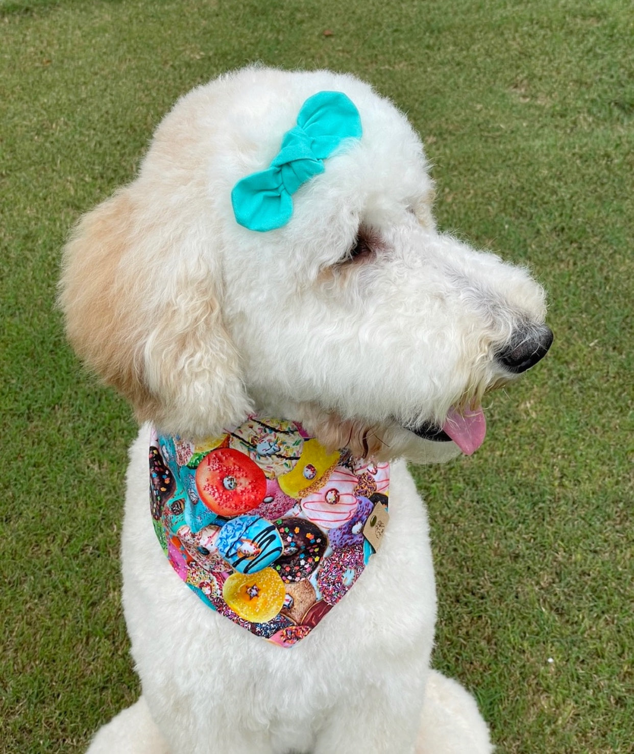 Donuts Dog Bandana