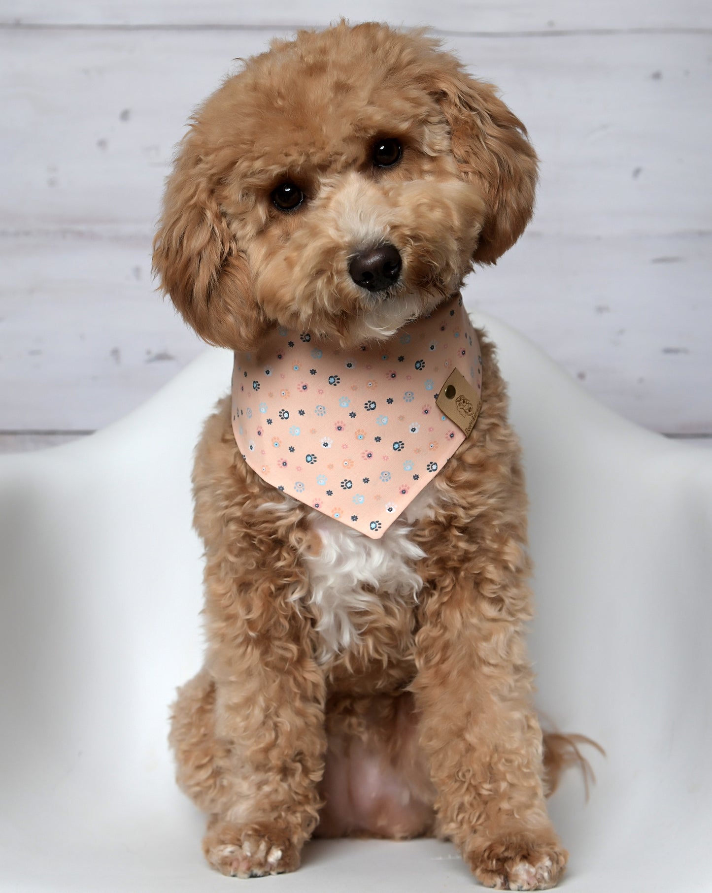 Peachy Paws Dog Bandana