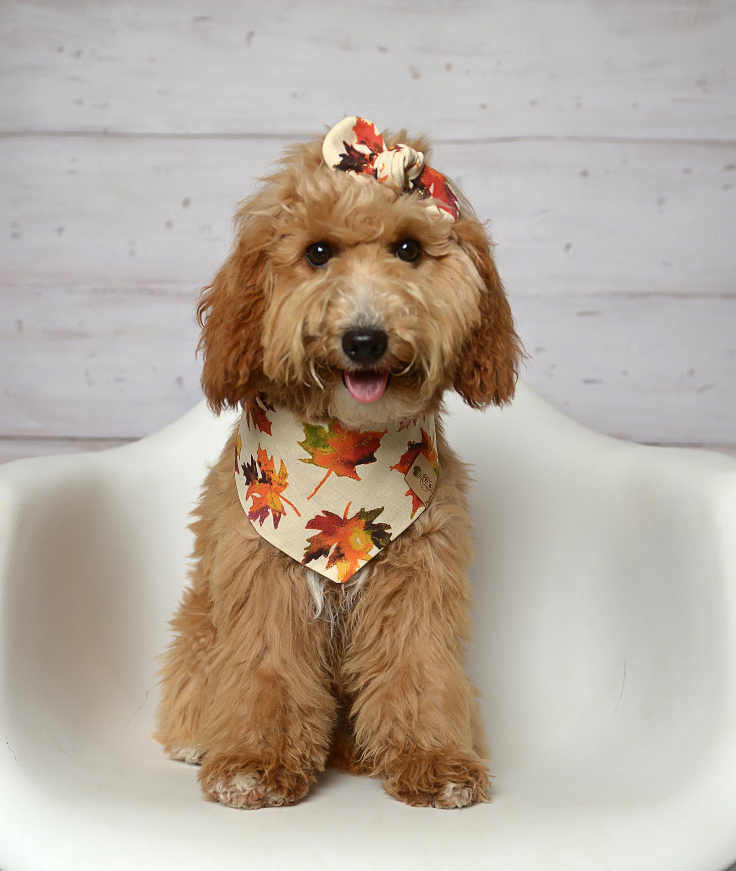 Autumn Dog Bandana