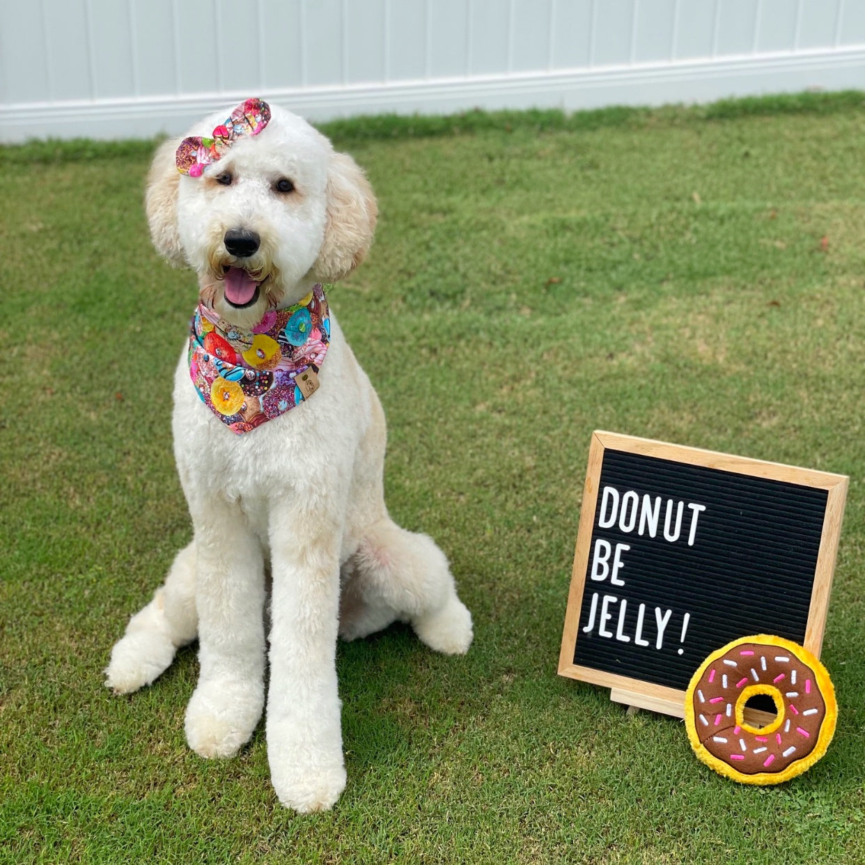 Donuts Dog Bandana