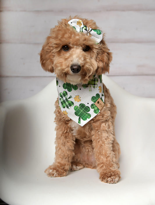 St. Patrick Clover Dog Bandana