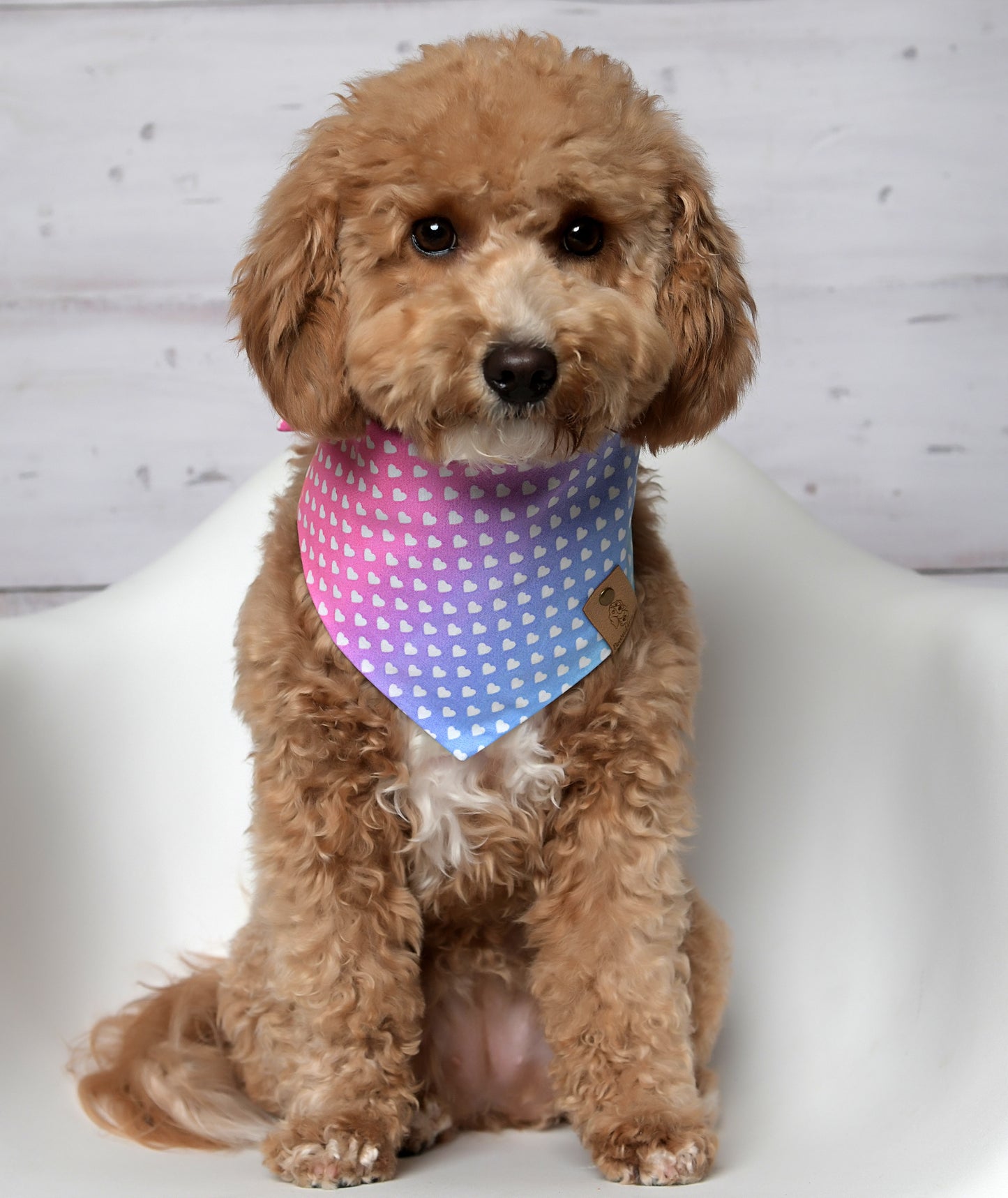 Rainbow Hearts Dog Bandana