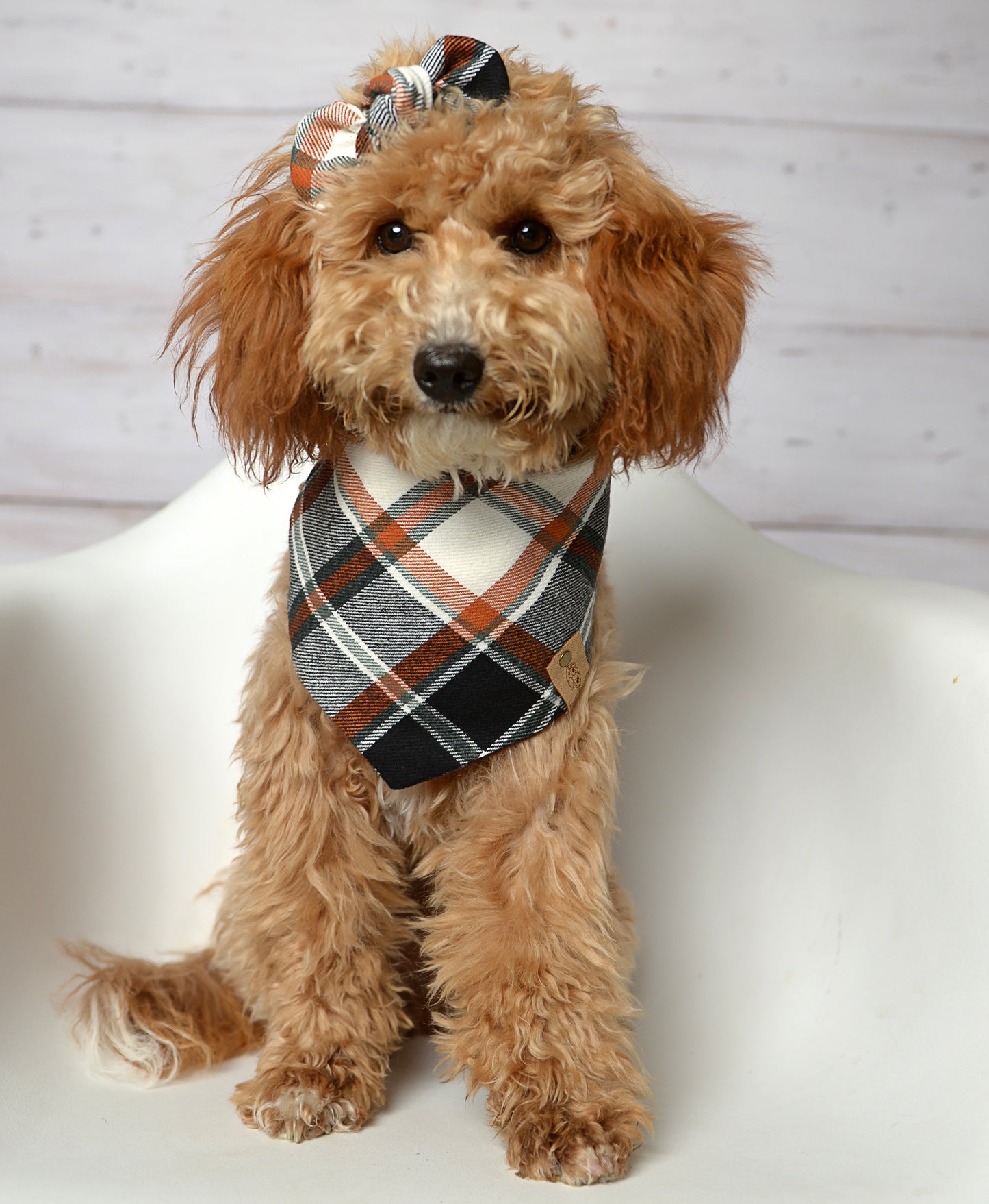 Black Rust Plaid Dog Bandana - Flannel