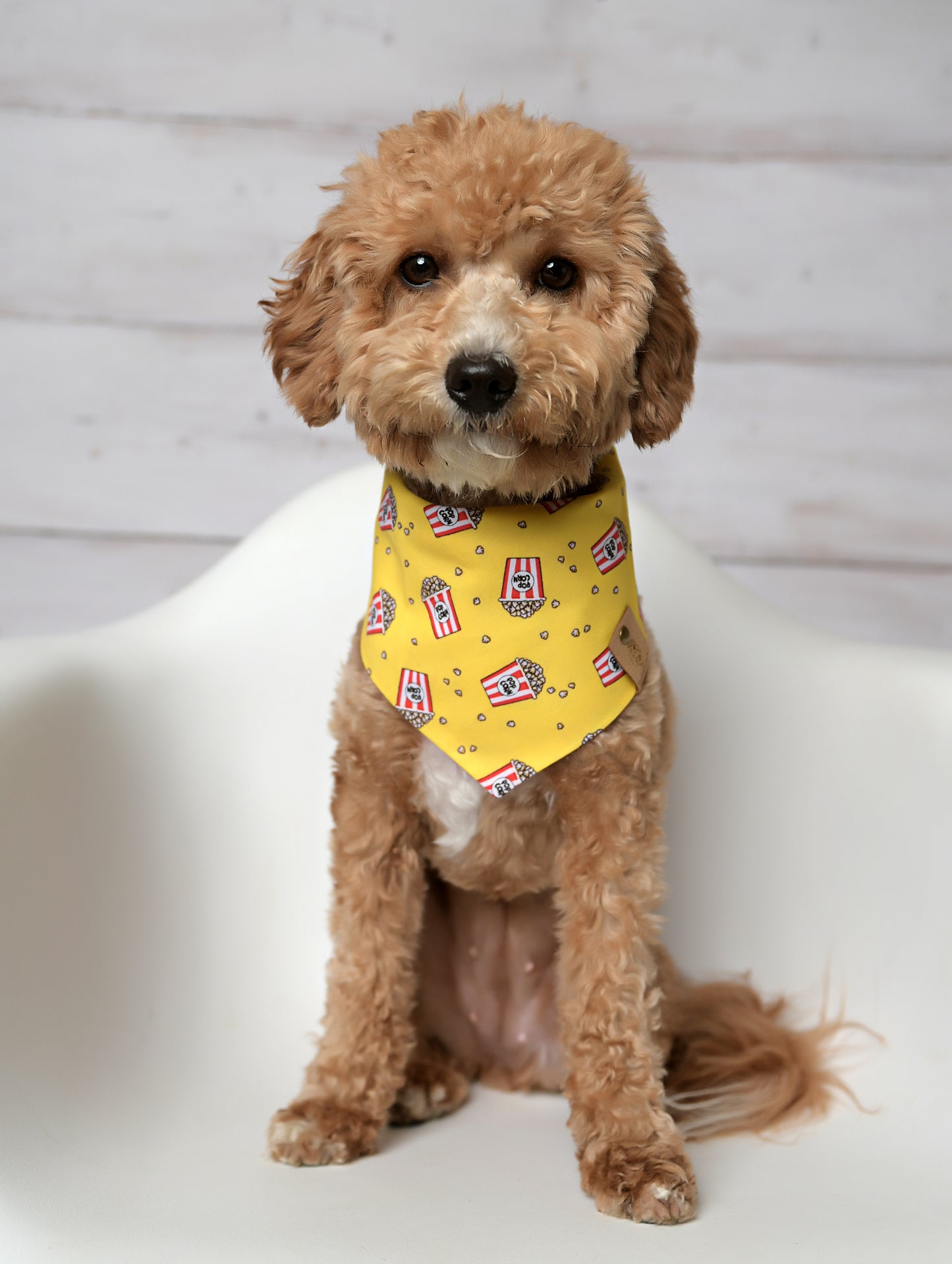 Pop Corn Dog Bandana