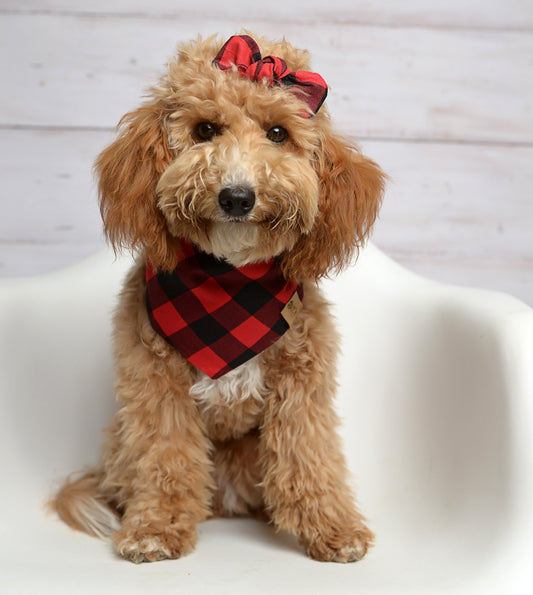 Red Buffalo Dog Bandana