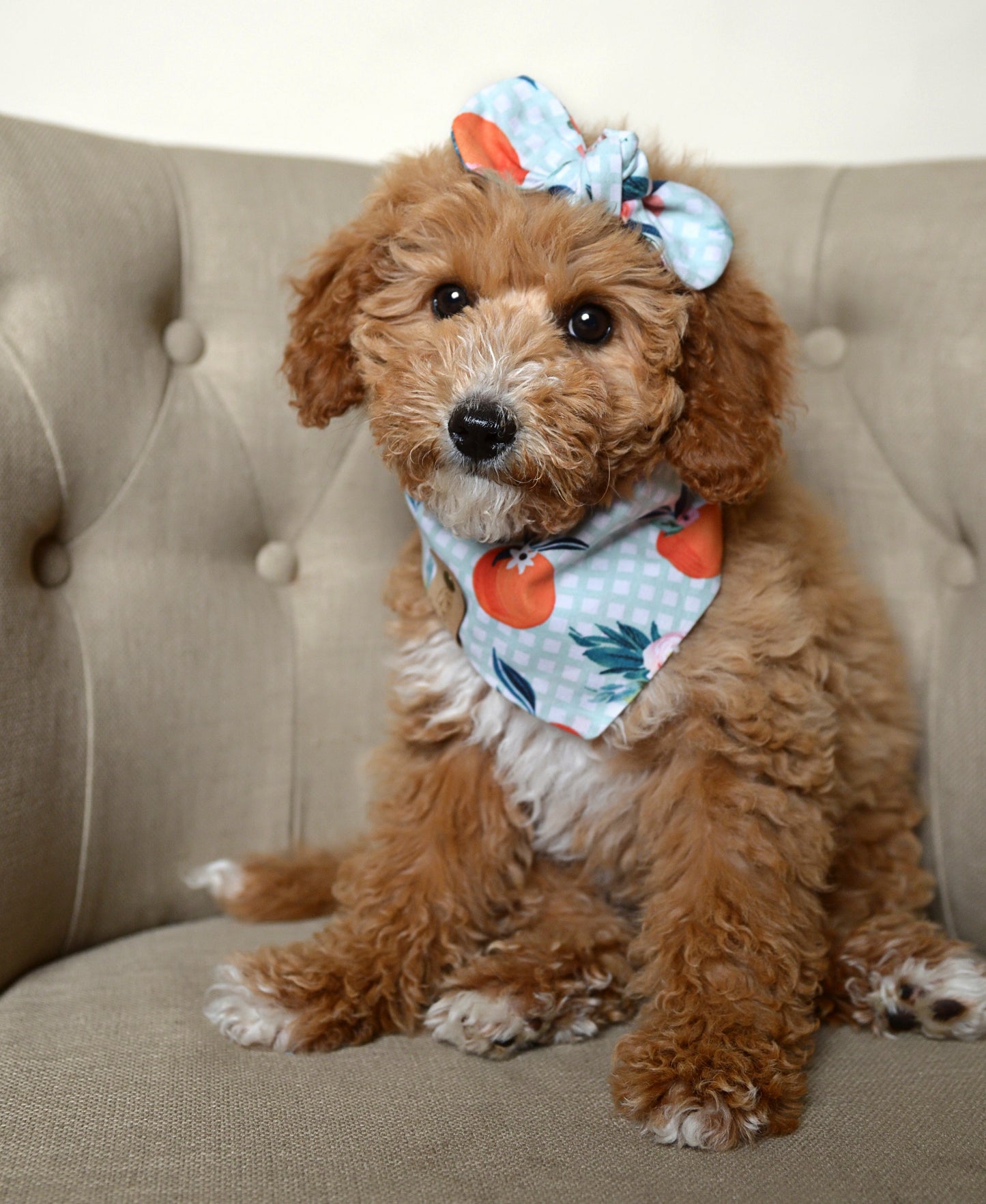 Oranges Mint Gingham Dog Bandana