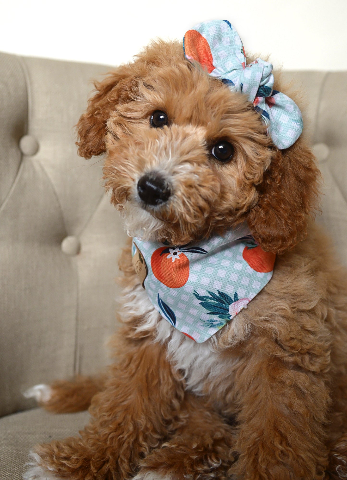 Oranges Mint Gingham Dog Bandana