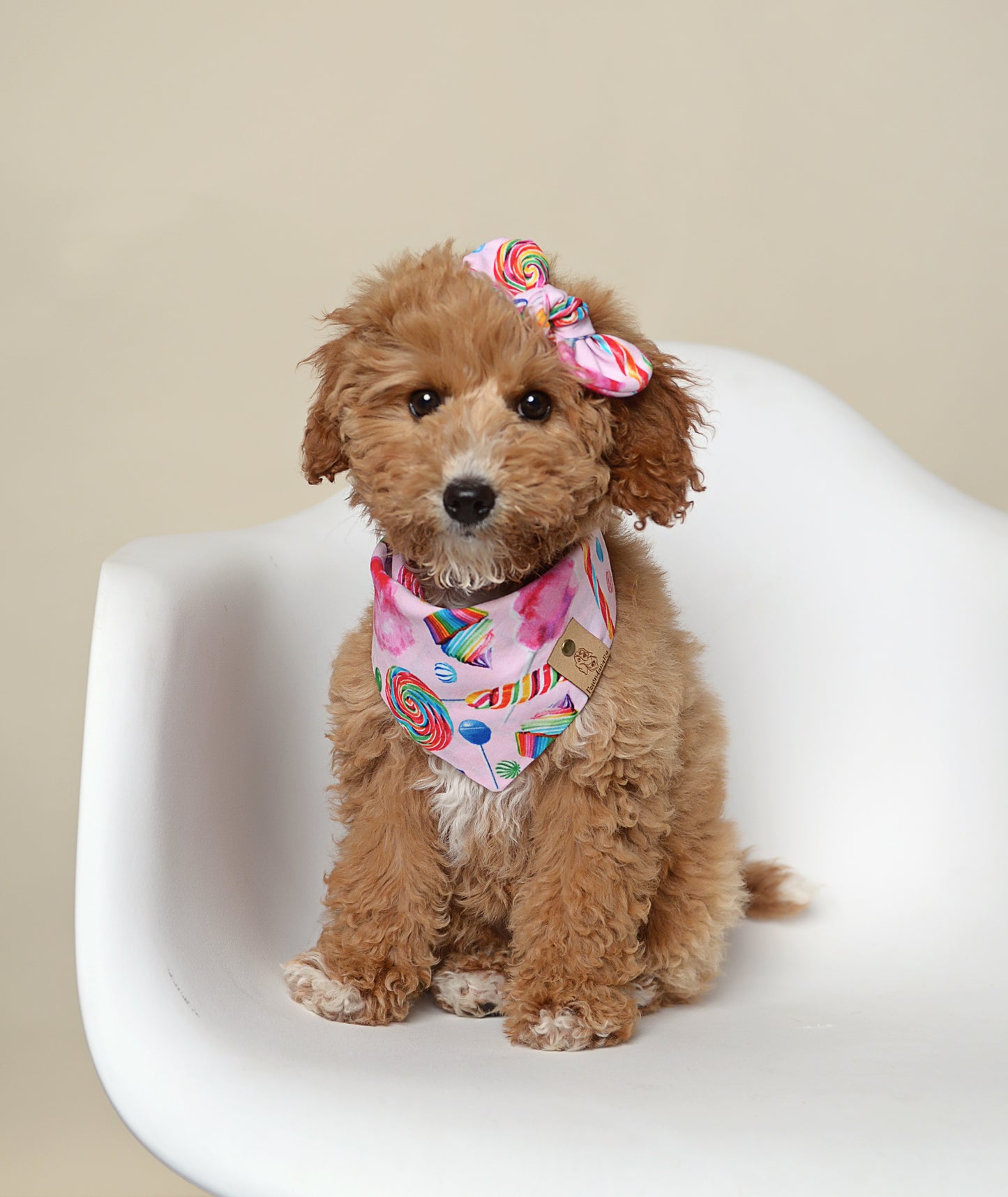 Candy Dog Bandana