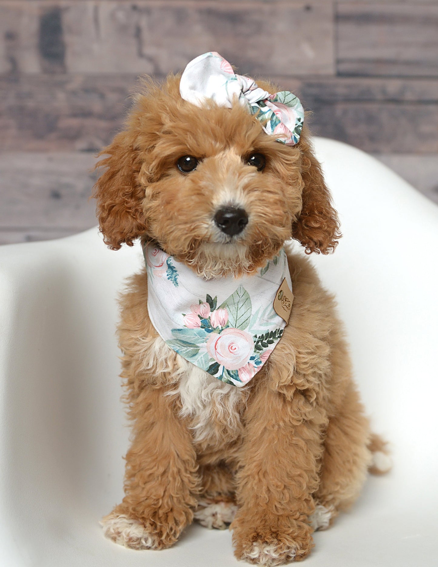 Roses Dog Bandana