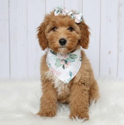 Roses Dog Bandana