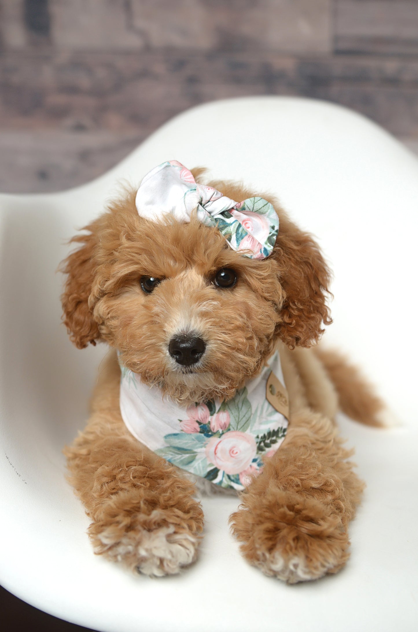 Roses Dog Bandana