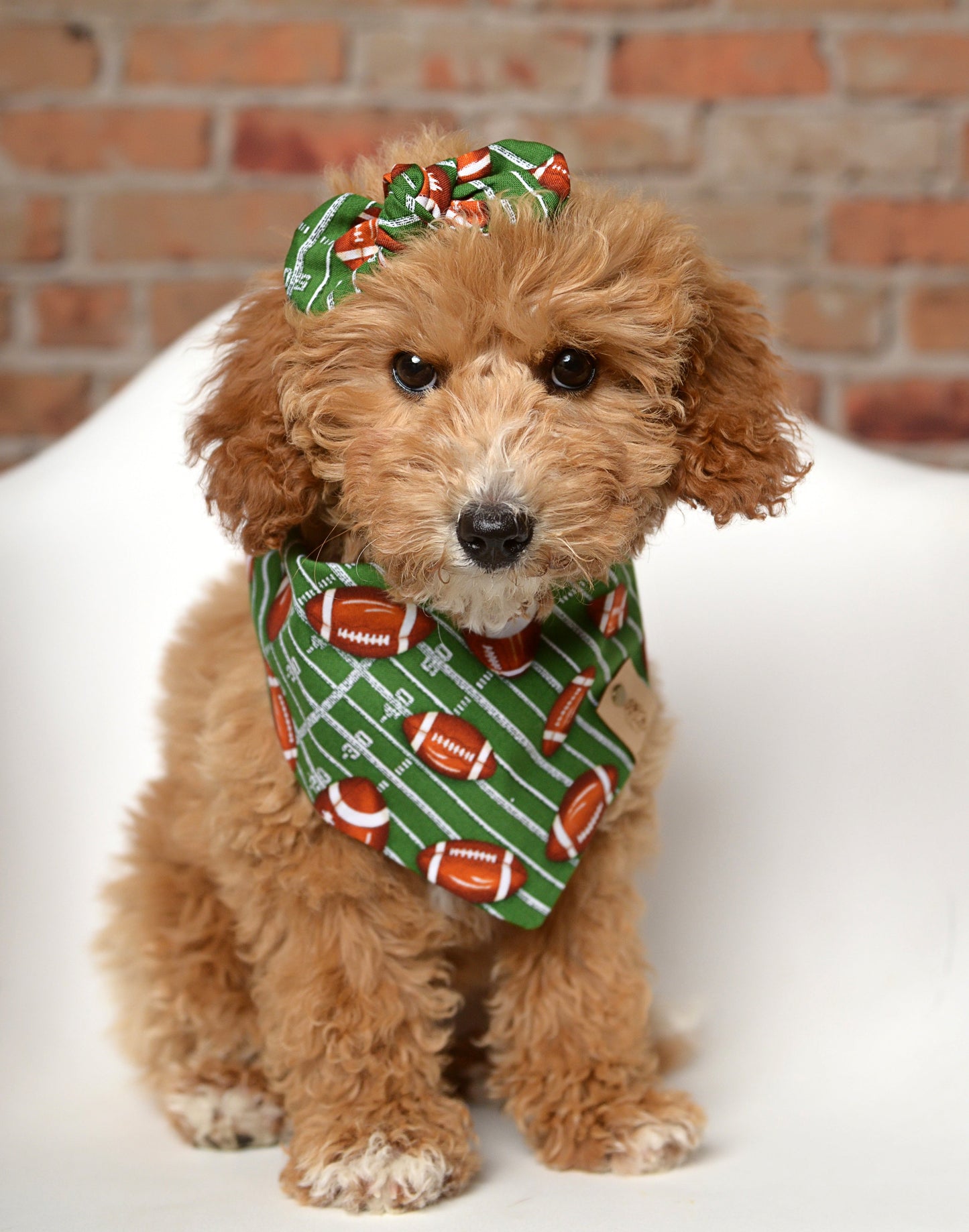 Football Dog Bandana