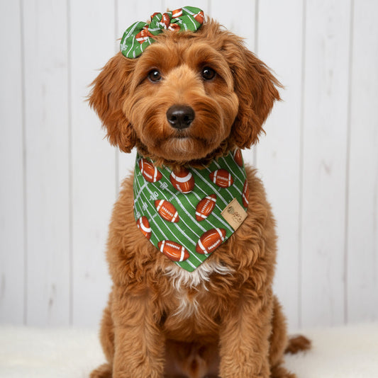 Football Dog Bandana