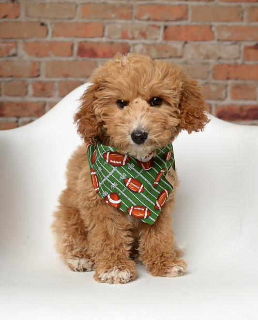 Football Dog Bandana