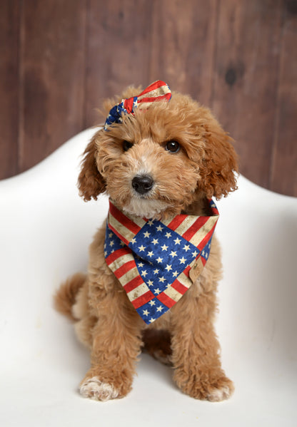 Patriotic dog bandana with red, white, and blue stars and stripes design.