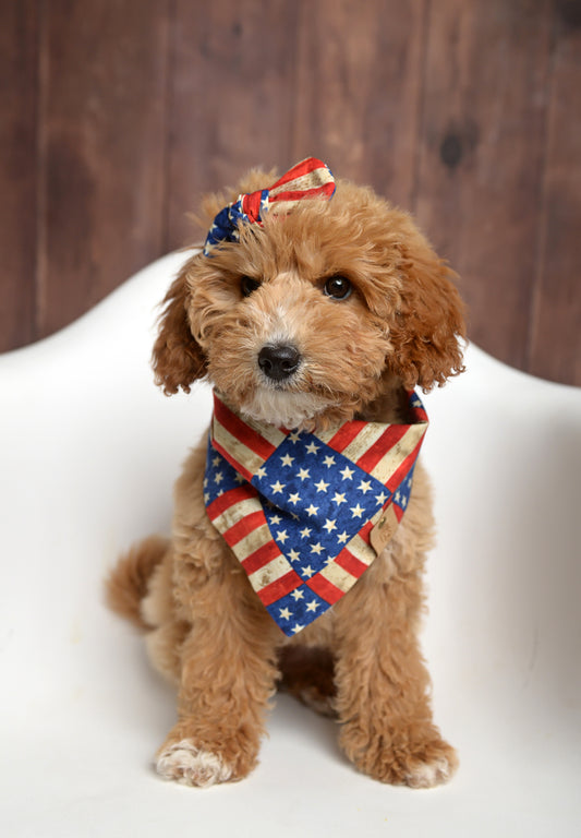 Stars & Stripes Dog Bandana