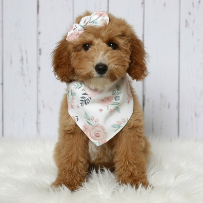 Pastel Rose Dog Bandana